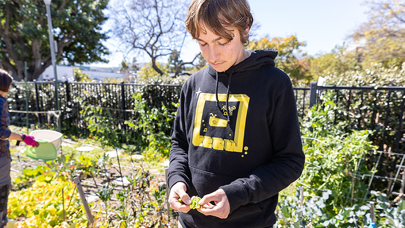 Student inspecting plant