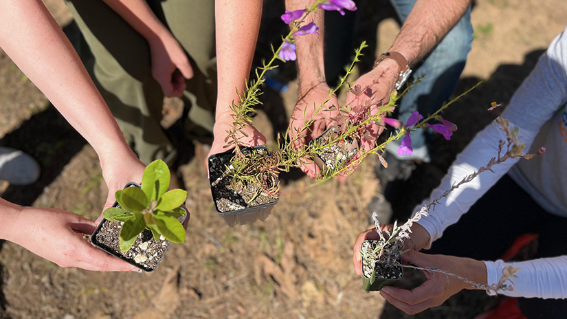 Soil in love with gardening