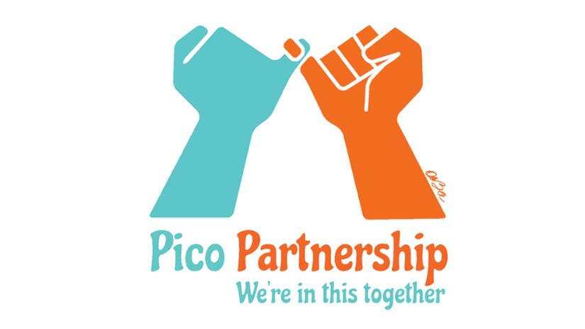 Pico Logo