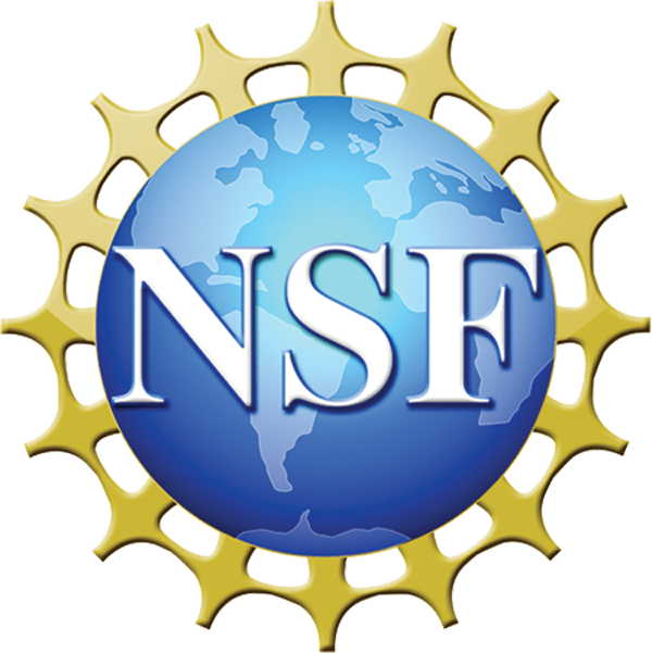 NSF logo.png