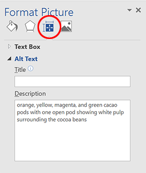 Layout and Properties