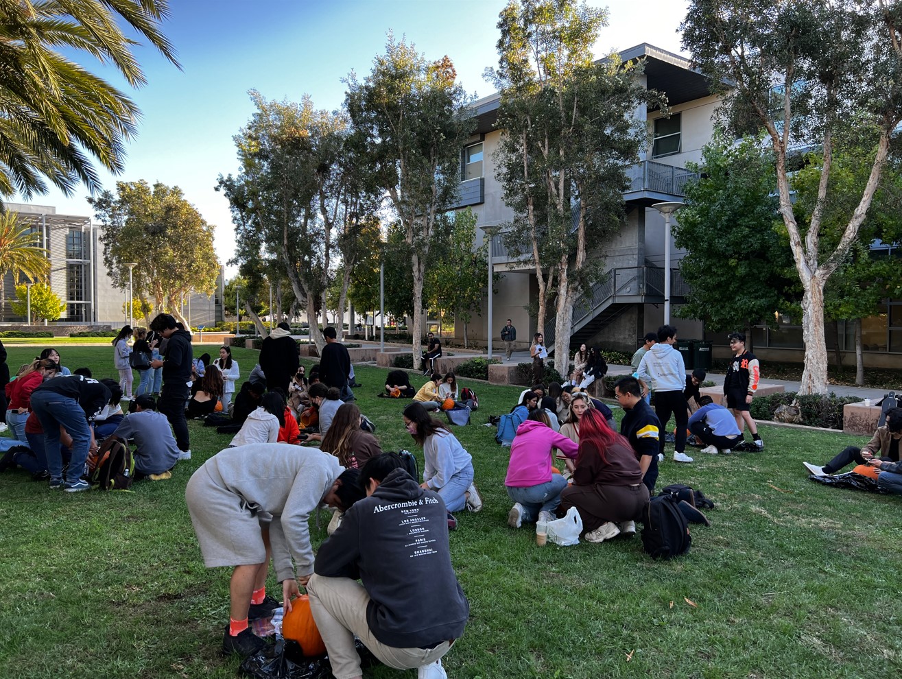 groups of students working together to carve pumpkins